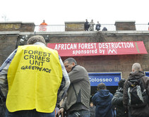Forest Crimes Unit